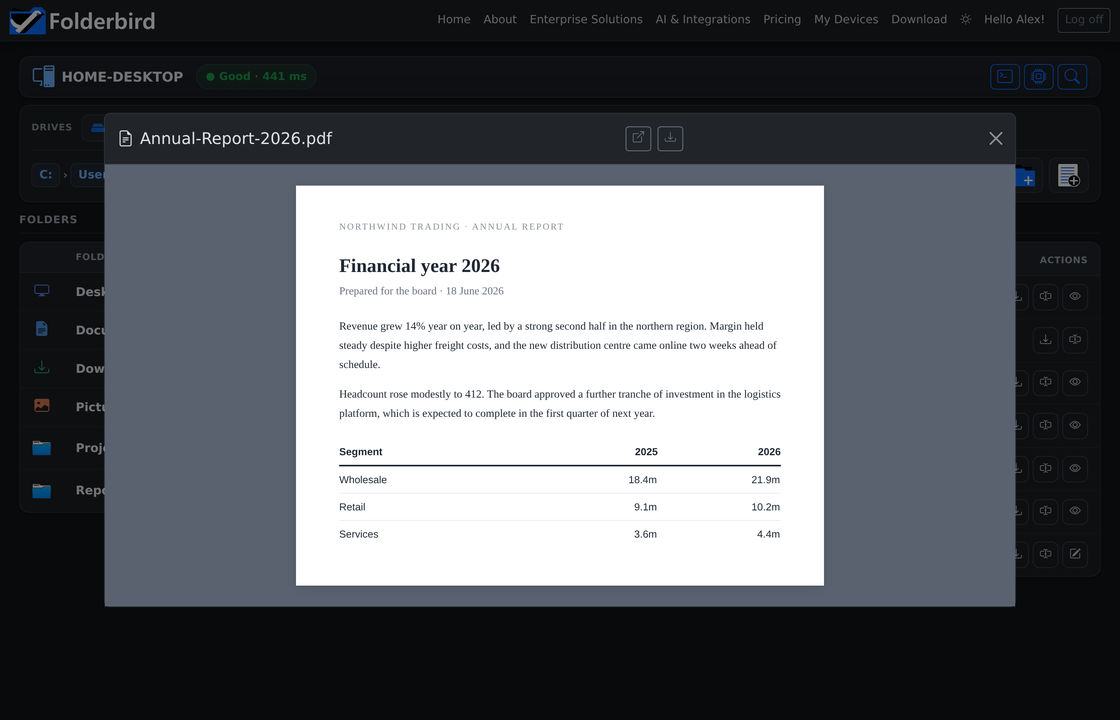 A PDF rendered in the document preview dialog
