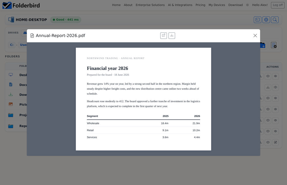 A PDF rendered in the document preview dialog