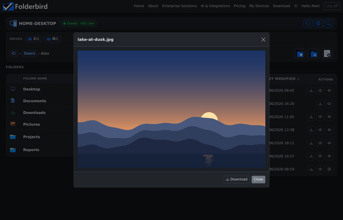A photo shown full size in the image preview dialog