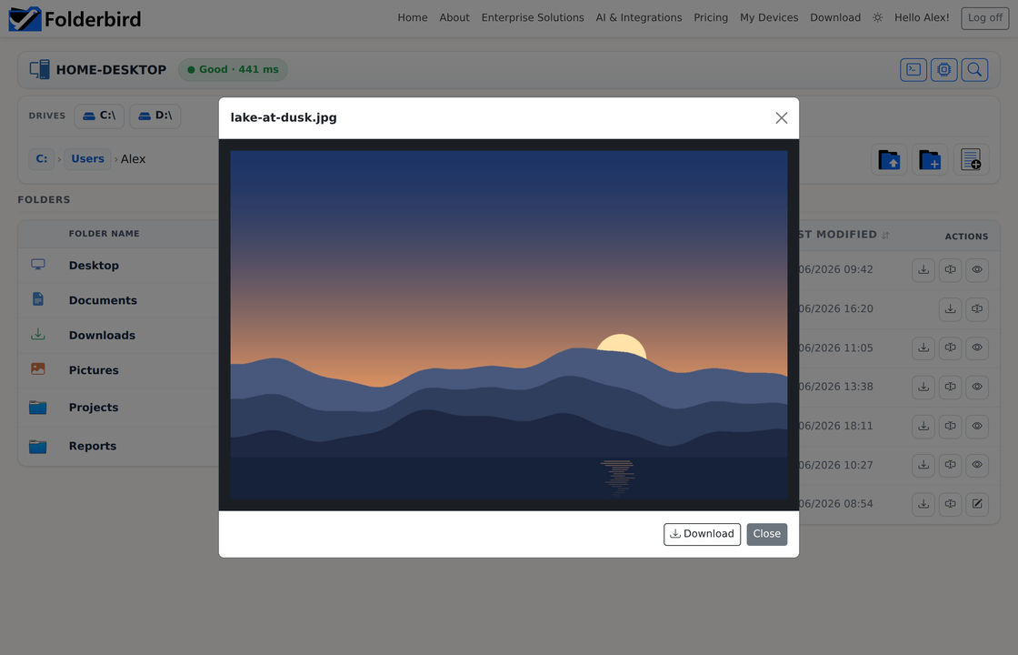A photo shown full size in the image preview dialog