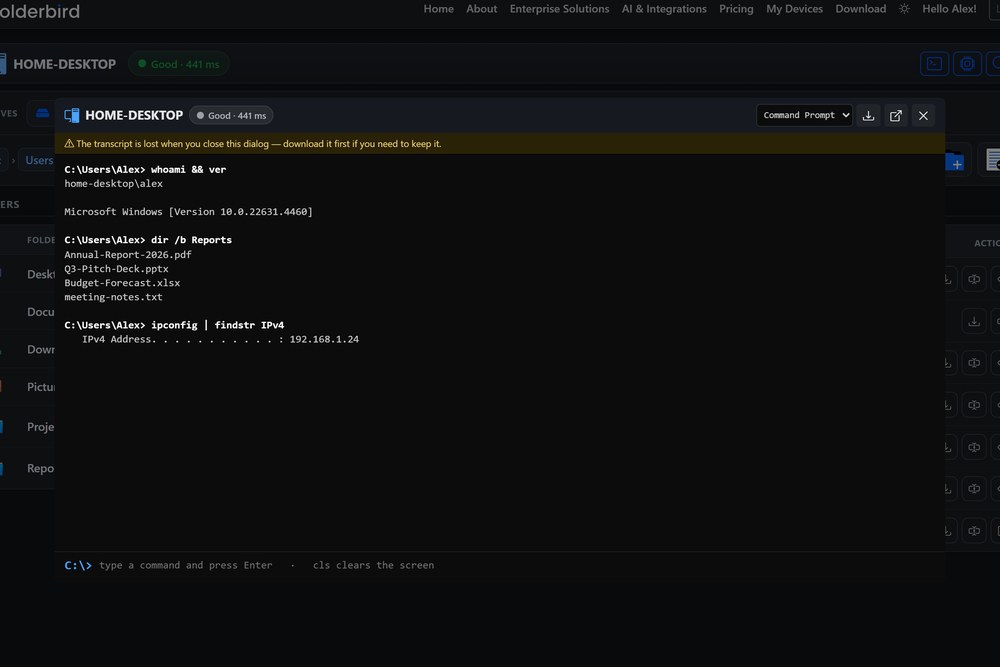 A live command line open on a PC from the browser