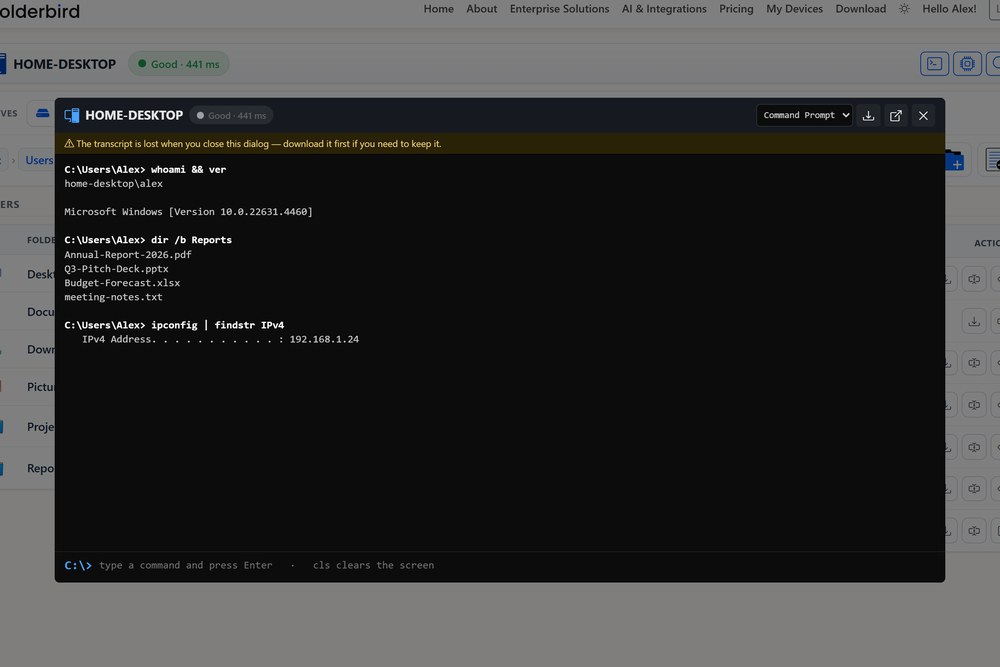 A live command line open on a PC from the browser